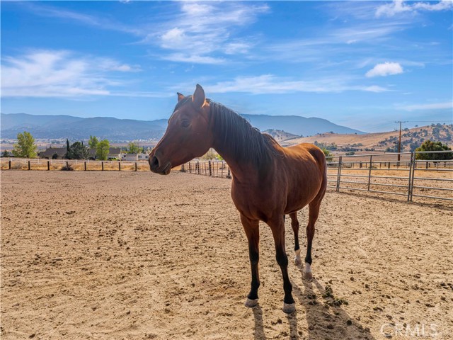 Detail Gallery Image 53 of 66 For 23237 Johnson Ct, Tehachapi,  CA 93561 - 4 Beds | 5 Baths