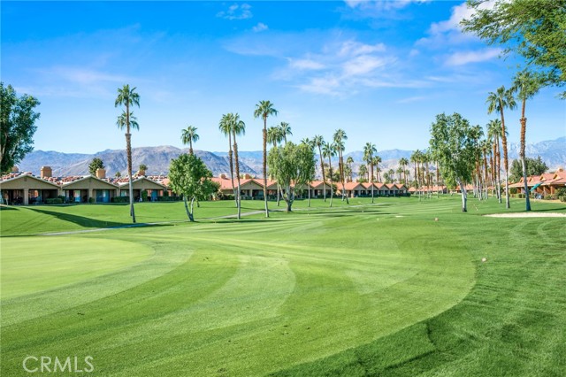Detail Gallery Image 40 of 42 For 69 Camino Arroyo, Palm Desert,  CA 92260 - 2 Beds | 2 Baths