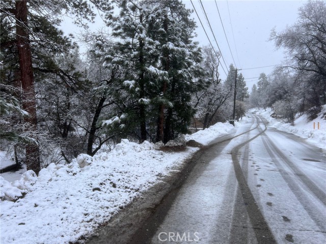 1224 Minton Drive, Big Bear City, California 92314, ,Land,For Sale,1224 Minton Drive,CREV24036820