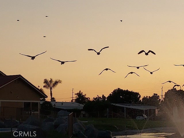 Detail Gallery Image 44 of 45 For 1300 W Menlo Ave #100,  Hemet,  CA 92543 - 2 Beds | 2 Baths