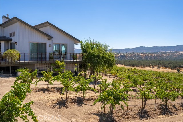7110 Drake Road, Paso Robles CA: https://media.crmls.org/medias/e458d408-94f6-4992-8016-1a2f00742067.jpg