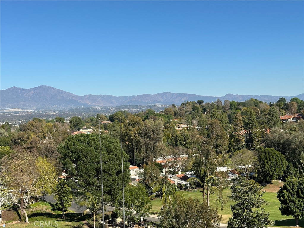 https://media.crmls.org/medias/e45a9a95-9b3b-4e63-9158-622436317e9e.jpg?preset=X-Large