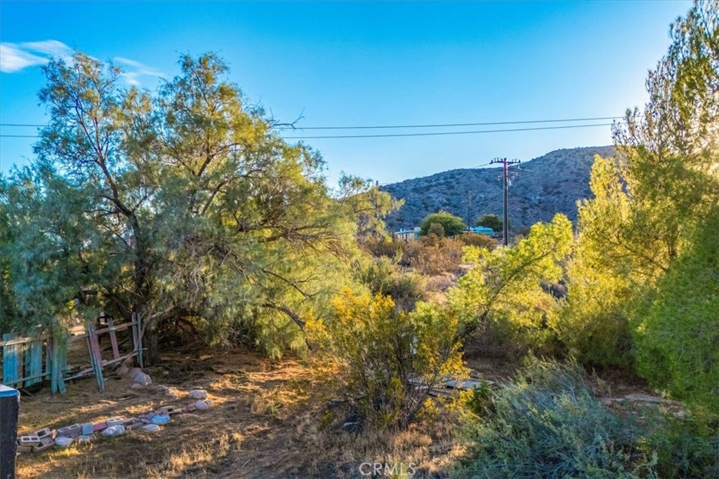 MLS #JT25260931 image #44