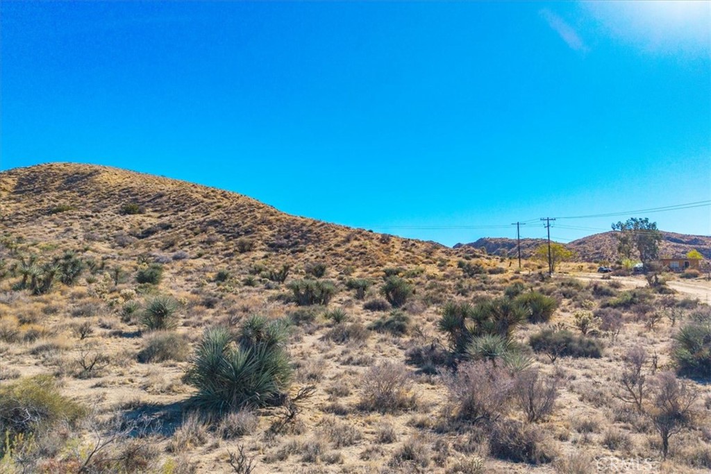 MLS #JT25257903 image #14