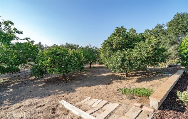 1581 Sycamore Drive, Fallbrook, California 92028, 4 Bedrooms Bedrooms, ,2 BathroomsBathrooms,Residential rental,For Sale,Sycamore Drive,TR24096970