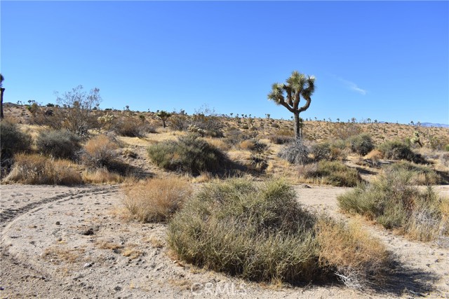 Detail Gallery Image 5 of 7 For 1 Indio Ave, Yucca Valley,  CA 92284 - – Beds | – Baths