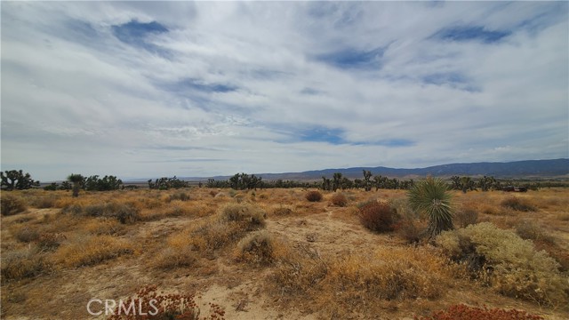 Detail Gallery Image 3 of 24 For 0 Vicinity Kingbird & 243rd  St W, Rosamond,  CA 93560 - – Beds | – Baths