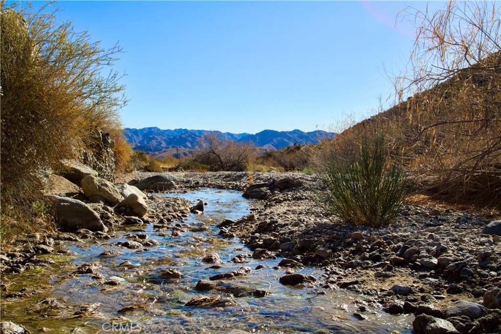 MLS #JT25021871 image #3