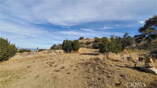 MLS #SR25242278 image #45