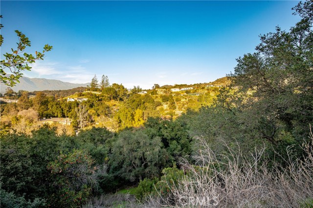 1 Bayberry Drive photo 2