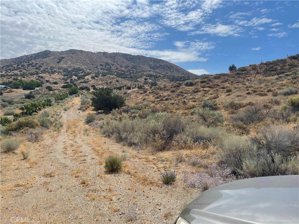 MLS #SR26174386 image #13