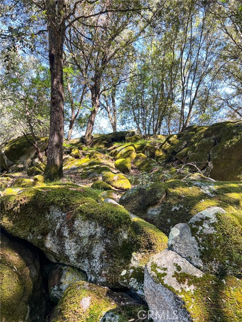 Detail Gallery Image 67 of 74 For 44981 Todd Eymann Rd, Miramonte,  CA 93641 - 1 Beds | 1 Baths