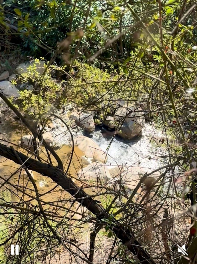 MLS #HD25242085 image #6