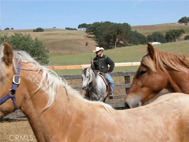 Image 7 of 24 For 3470 Ranchita Cyn Rd