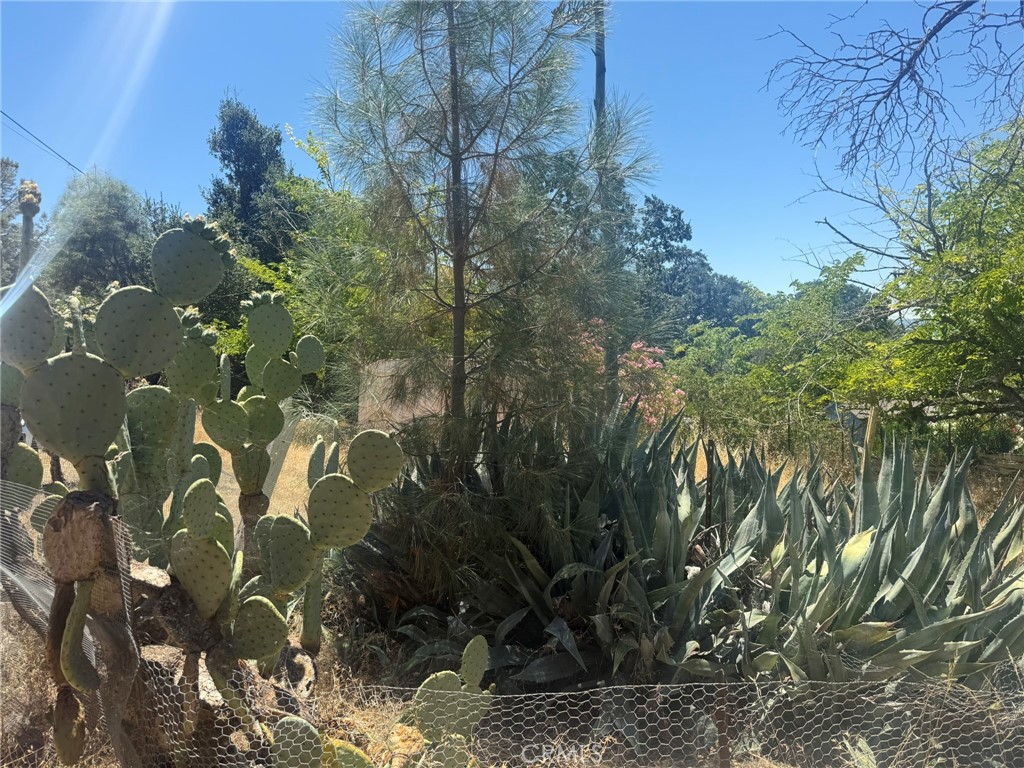https://media.crmls.org/medias/e4881a45-e282-4792-8203-e2c006ecc3f6.jpg?preset=X-Large