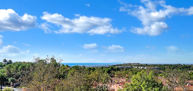 4 Mattina Drive, Newport Coast, CA, 92657 4 Mattina Drive, Newport Coast, CA, 92657