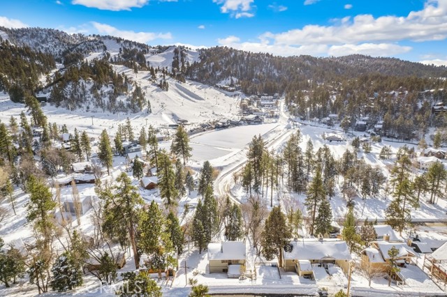 Detail Gallery Image 2 of 39 For 1218 Siskiyou Dr, Big Bear Lake,  CA 92315 - 2 Beds | 2 Baths