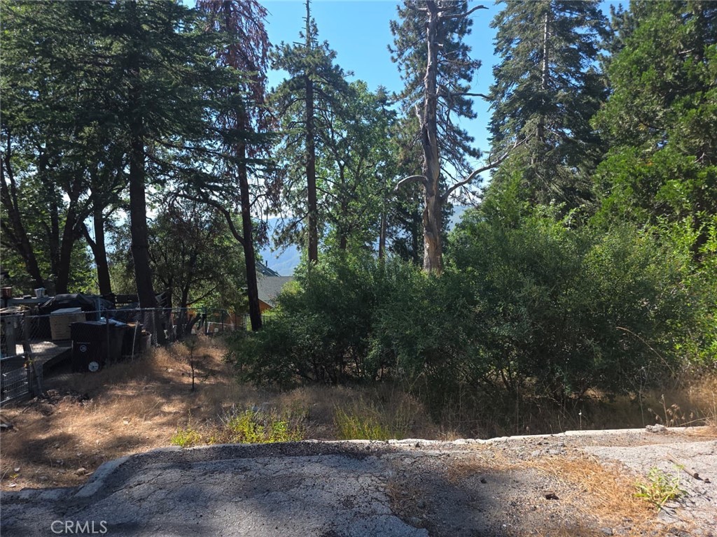 MLS #IV25164283 image #19