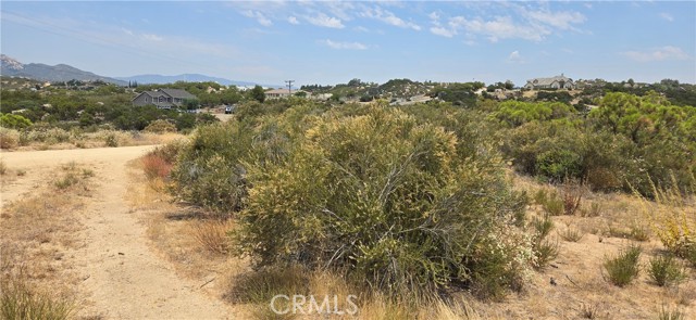 1011 Roan Way, Aguanga, California 92536, ,Land,For Sale,1011 Roan Way,CRSW24143304