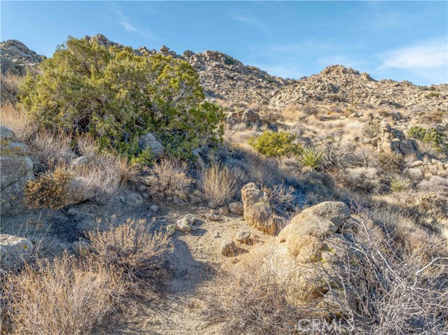 Detail Gallery Image 6 of 18 For 0 Avenida Los Feliz, Mountain Center,  CA 92561 - – Beds | – Baths