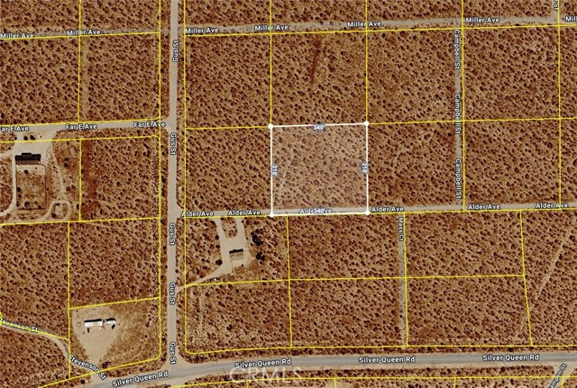 Front Image Thumbnail for CRSR26025954