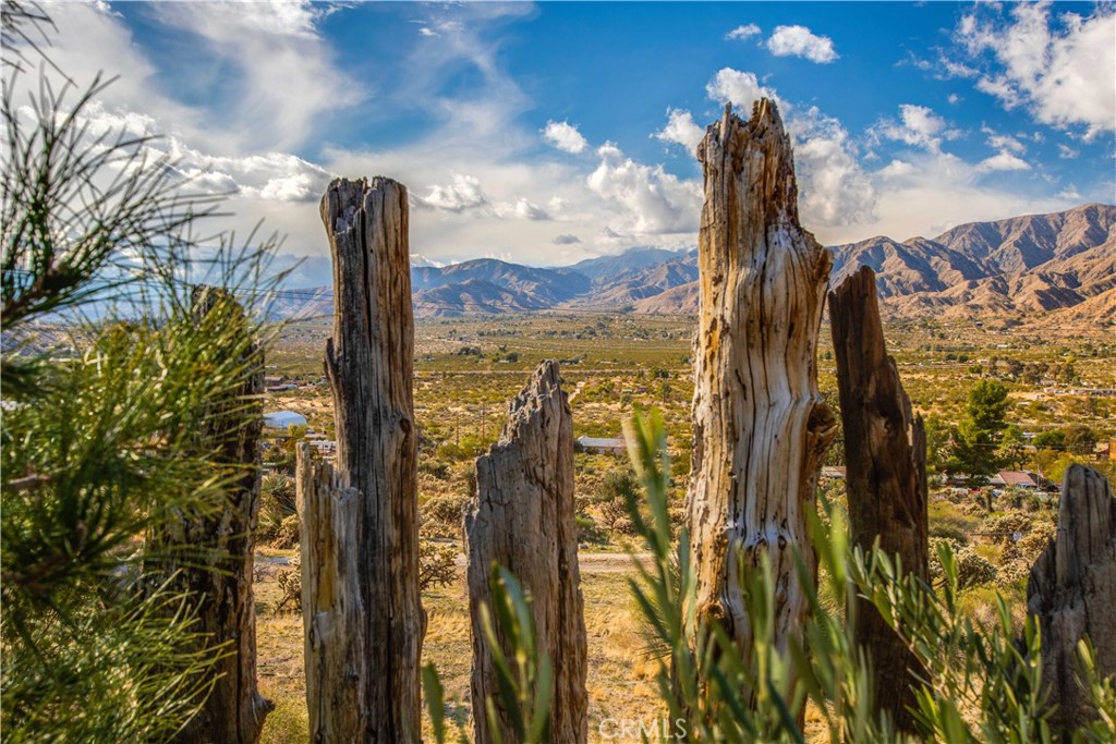 https://media.crmls.org/medias/e49e99e8-5417-44a5-a1bc-05d5746d3301.jpg?preset=X-Large