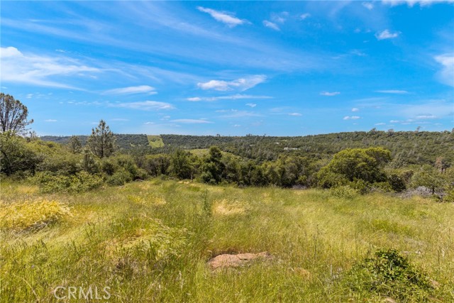 Detail Gallery Image 22 of 33 For 1978 Oregon Gulch Rd, Oroville,  CA 95965 - 3 Beds | 2 Baths