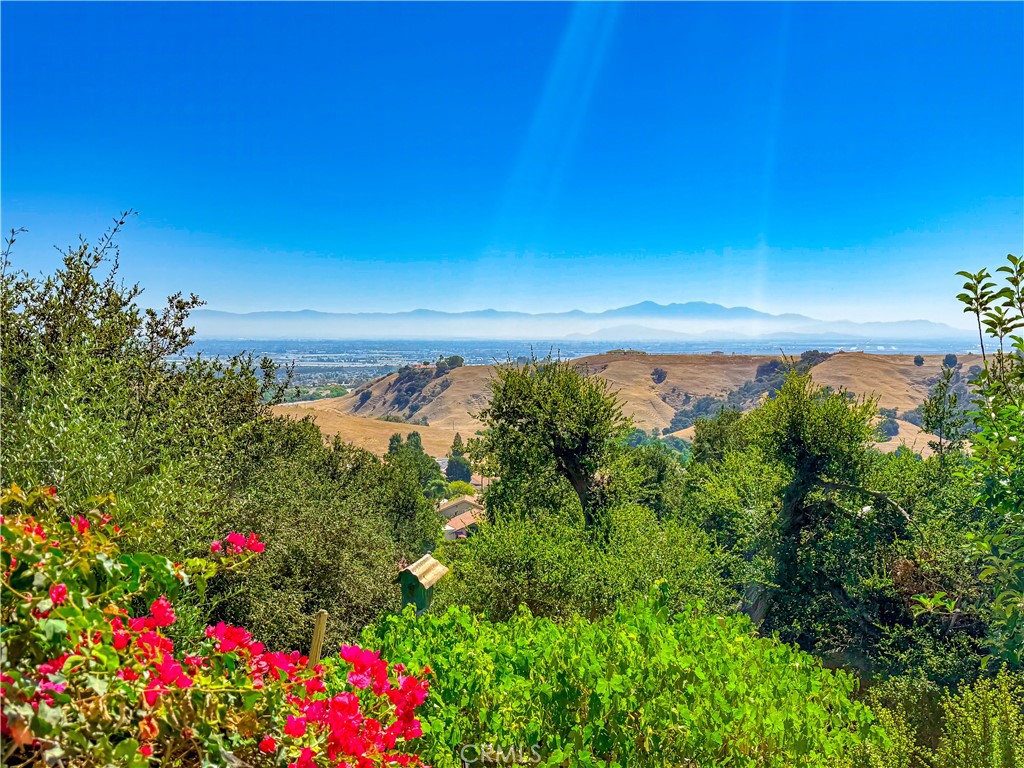 https://media.crmls.org/medias/e4a50efe-ff06-4d87-9e87-712b0012ee6b.jpg?preset=X-Large