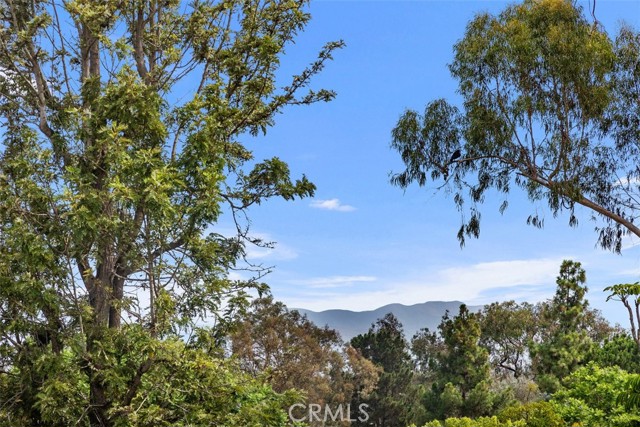 Detail Gallery Image 34 of 36 For 5351 Algarrobo #N,  Laguna Woods,  CA 92637 - 2 Beds | 2 Baths