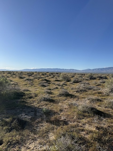 Front Image Thumbnail for CRSR26048802