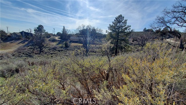 25041 Jacaranda Drive, Tehachapi, California 93561, ,Land,For Sale,25041 Jacaranda Drive,CRSR23210317