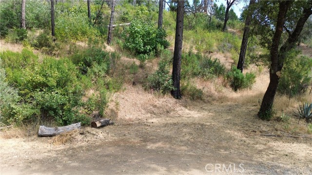 Front Image Thumbnail for CROR26117142