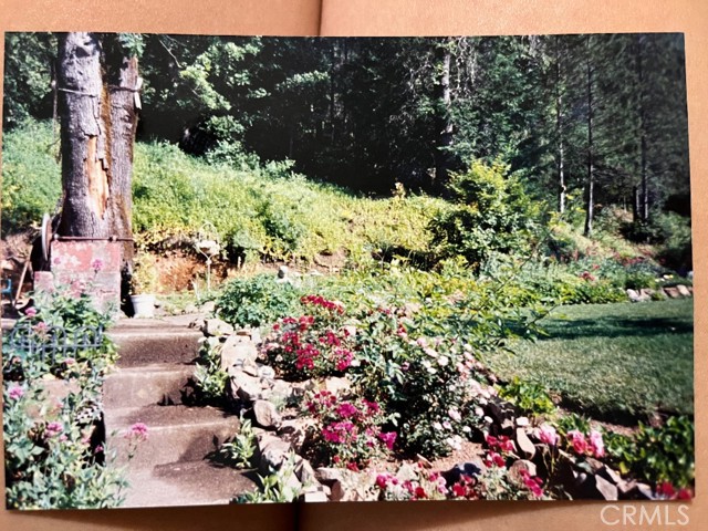 Detail Gallery Image 18 of 47 For 19942 Old Mill Rd, Lakehead,  CA 96051 - 2 Beds | 1/1 Baths
