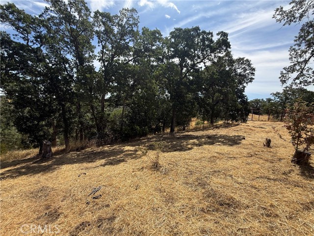 Detail Gallery Image 3 of 6 For 16318 Longhorn Ln, Corning,  CA 96021 - – Beds | – Baths