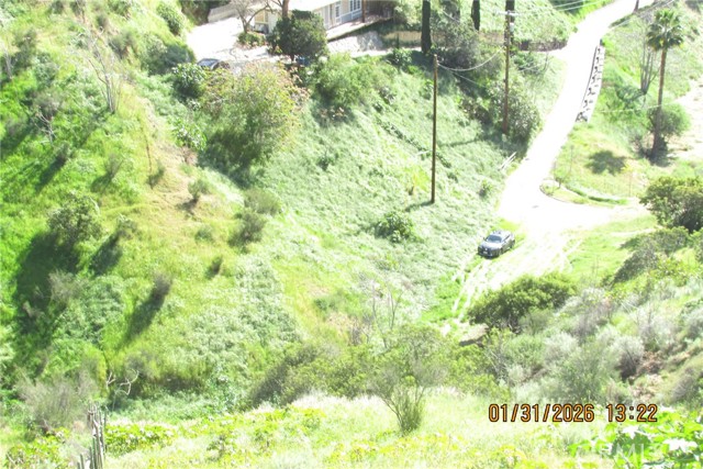 Detail Gallery Image 18 of 51 For 8001 Denivelle Rd., Sunland,  CA 91040 - – Beds | – Baths