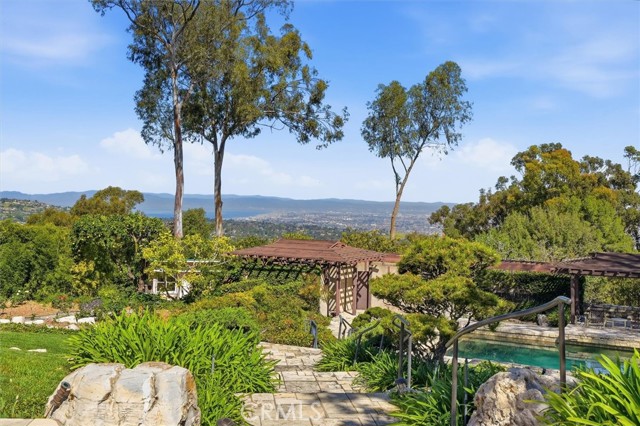 Image 7 of 66 For 100 Saddleback