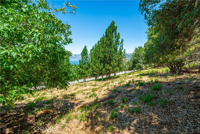 Detail Gallery Image 63 of 75 For 3126 Edgewood Drive, Kelseyville,  CA 95451 - – Beds | – Baths