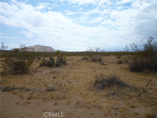 Detail Gallery Image 2 of 4 For 62397 Sunny Sands Dr, Joshua Tree,  CA 92252 - – Beds | – Baths