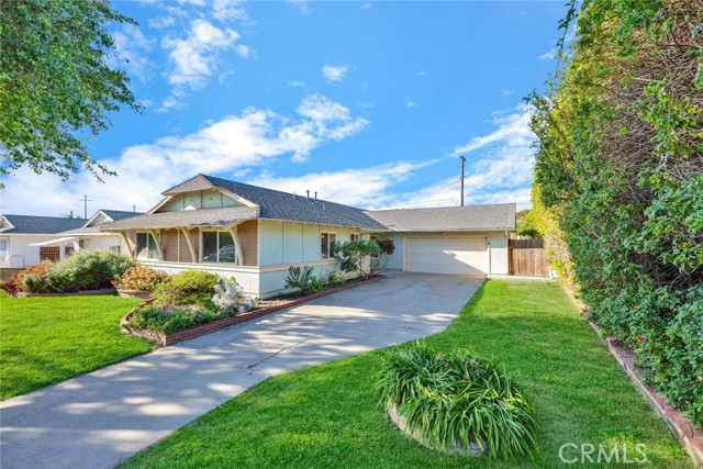 Front Image Thumbnail for CROC26056581