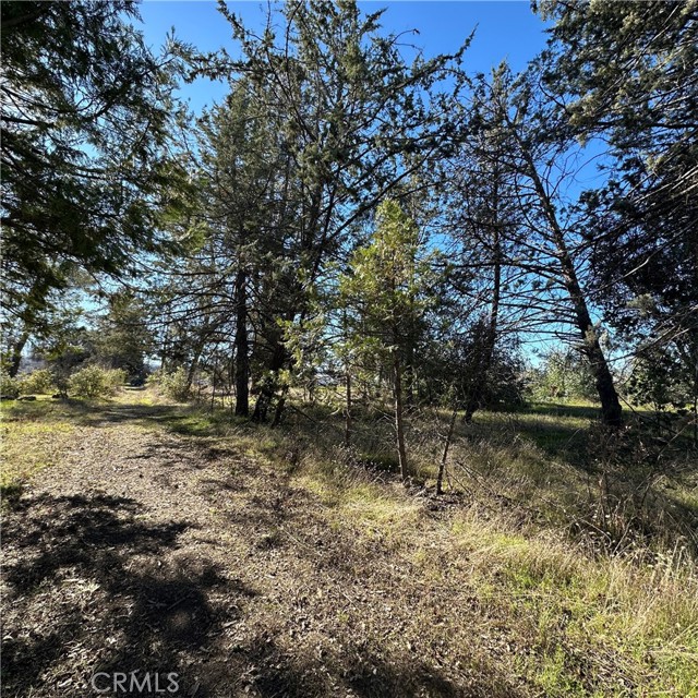 Detail Gallery Image 43 of 51 For 5235 Gaddy, Kelseyville,  CA 95451 - 2 Beds | 1 Baths