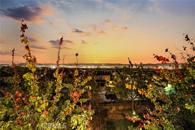 Detail Gallery Image 38 of 43 For 19458 Raptor Ct, Walnut,  CA 91789 - 4 Beds | 4/1 Baths