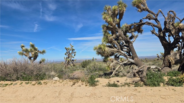 Detail Gallery Image 28 of 50 For 0 Fort Tejon Rd Vicinity 181st St E, Llano,  CA 93544 - – Beds | – Baths