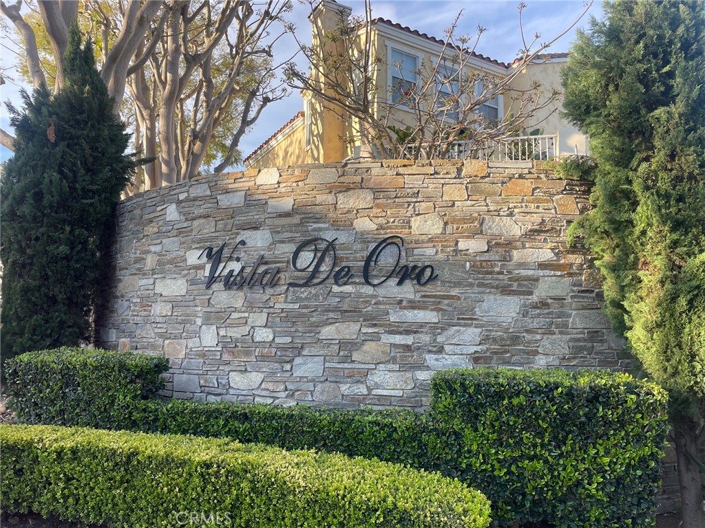 29 Vista Del Canon, Aliso Viejo, CA 92656