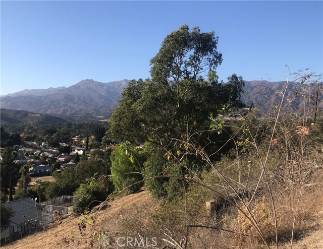 Detail Gallery Image 3 of 6 For 11146 N Ventura, Ojai,  CA 93023 - 0 Beds | 0 Baths