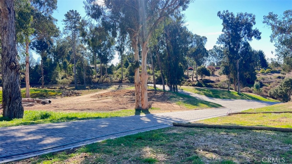 MLS #SW25072509 image #8
