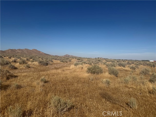 Front Image Thumbnail for CRSR26129023