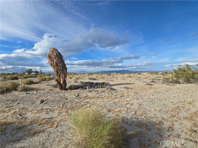 Detail Gallery Image 3 of 19 For 1544 Red Sea Ave, Thermal,  CA 92274 - – Beds | – Baths