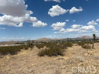 0 Vac/Vic Avenue 04/152 Ste, Lake Los Angeles CA: https://media.crmls.org/medias/e4f4db02-97f1-49bf-8546-632046695b62.jpg