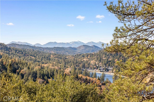 Detail Gallery Image 25 of 28 For 746 Arth Dr, Crestline,  CA 92325 - 3 Beds | 2 Baths