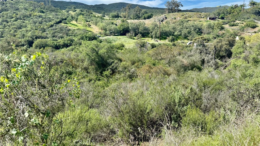 Twin Oaks Valley San Marcos - photo 8